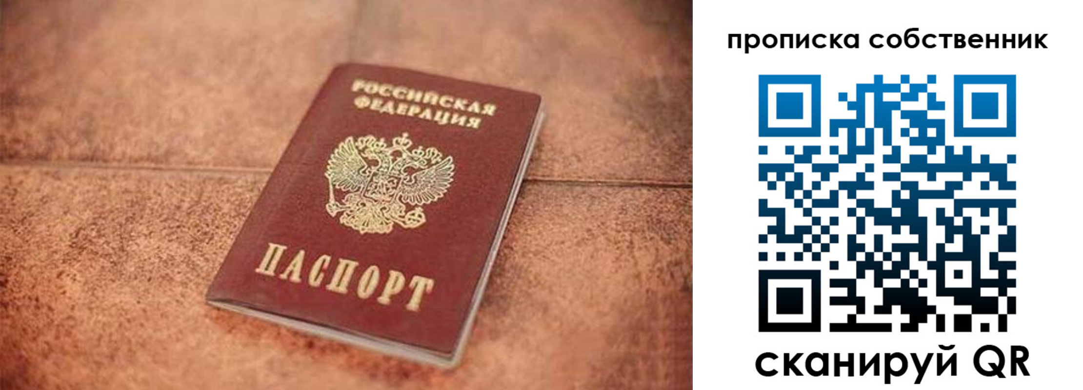 где прописаться в Вязьме